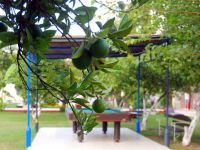 Hotel Tal